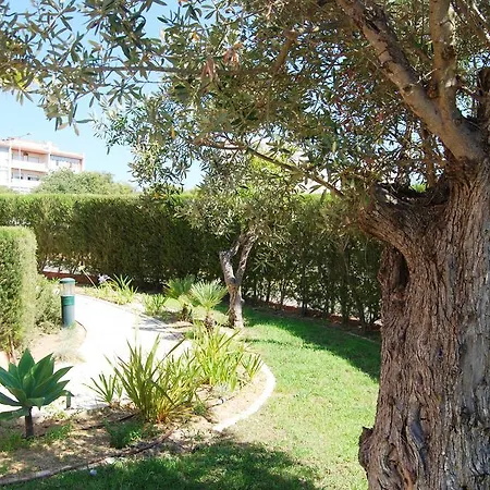 Love Sun Beach Apartment *